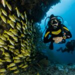 scuba diving experiences