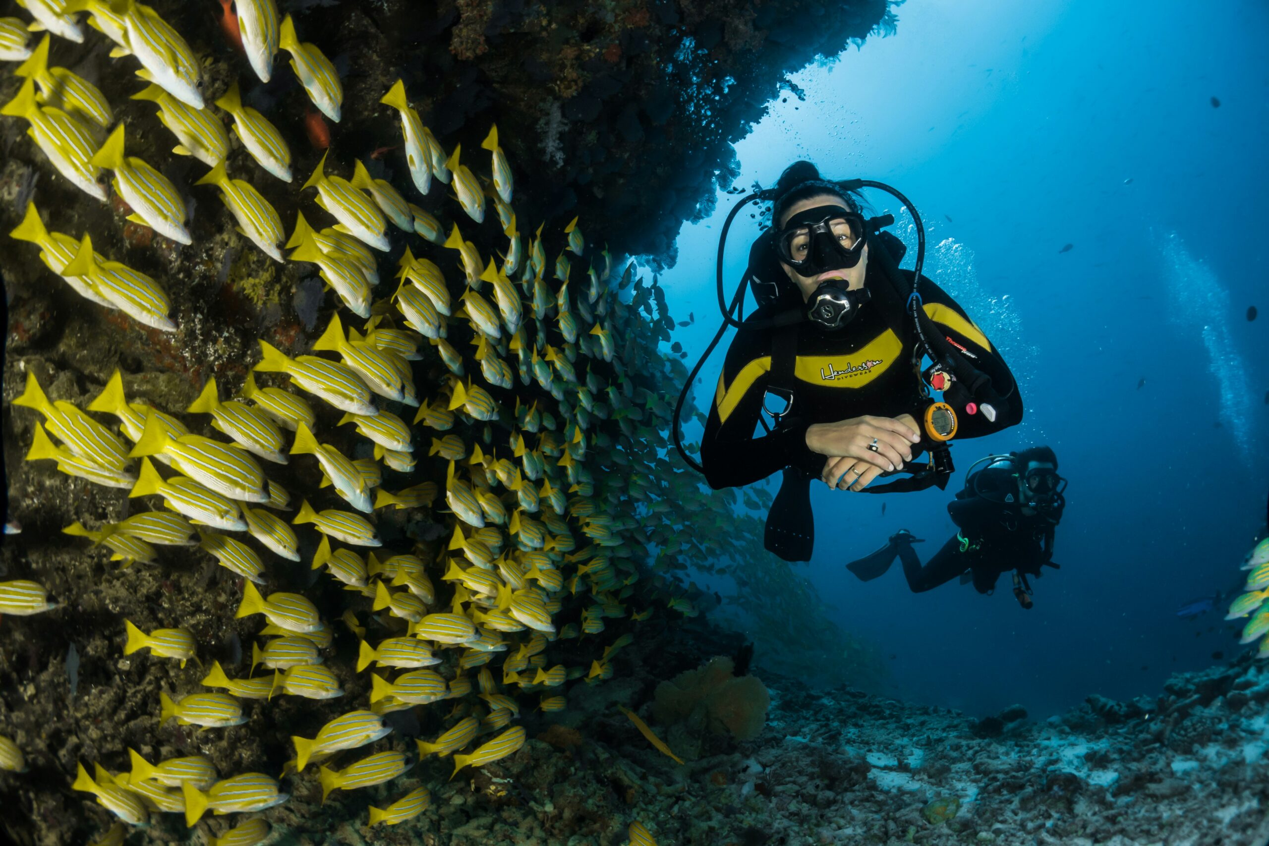 Scuba Diving and Skydiving Experiences Every Thrill-Seeker Should Try